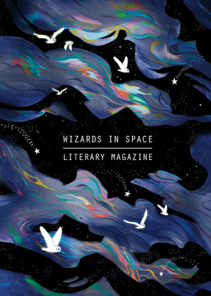 Wizards in Space issue 09 cover.